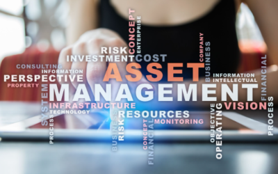 Offshore Asset Management in Anguilla: Your Secure Beginner’s Guide