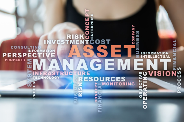 Offshore Asset Management in Anguilla: Your Secure Beginner’s Guide